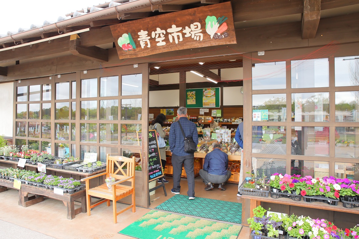 青空市場の画像です