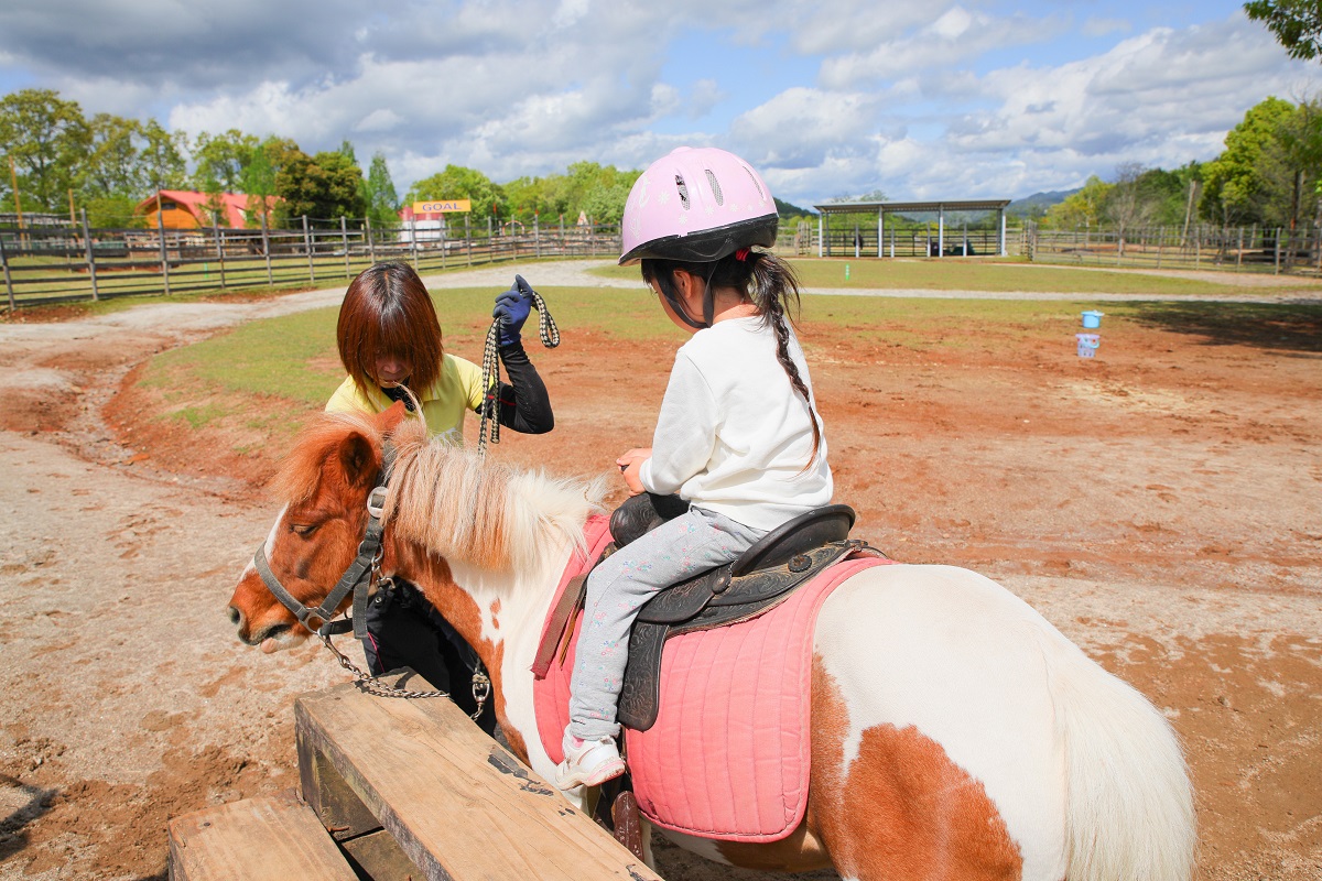引き馬乗馬の画像です