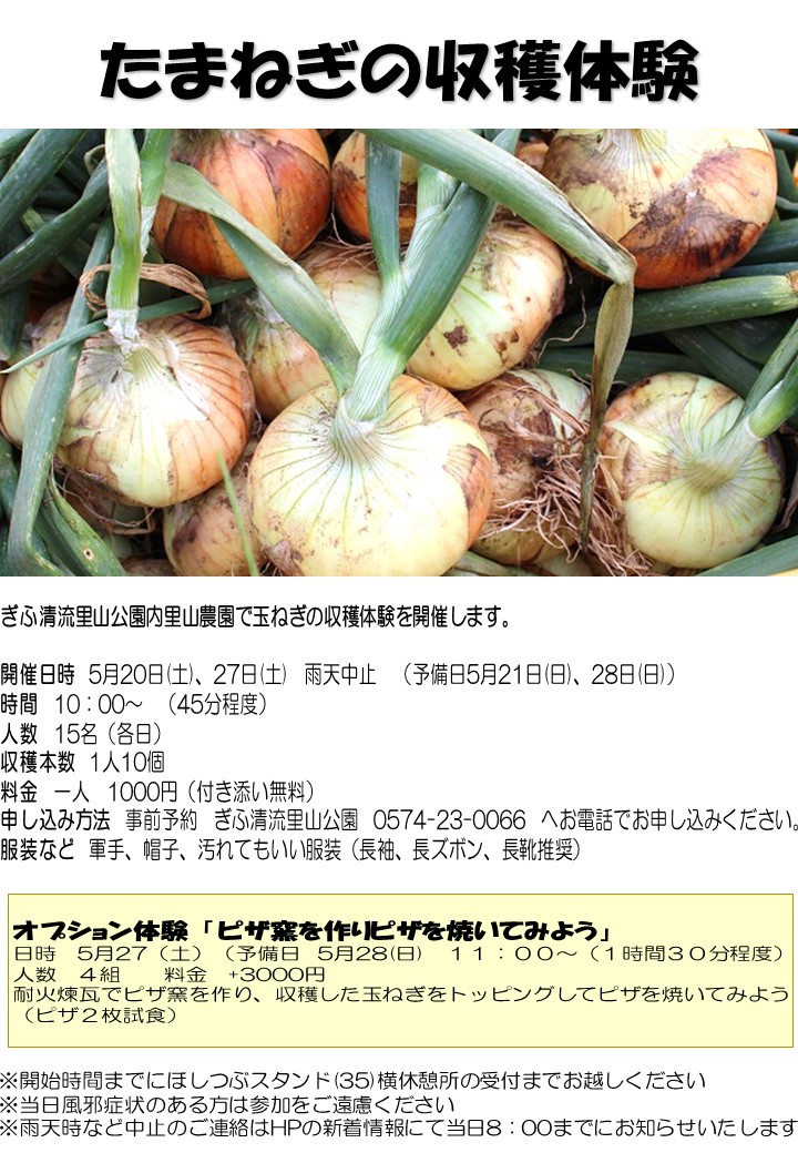 たまねぎの収穫体験 チラシ