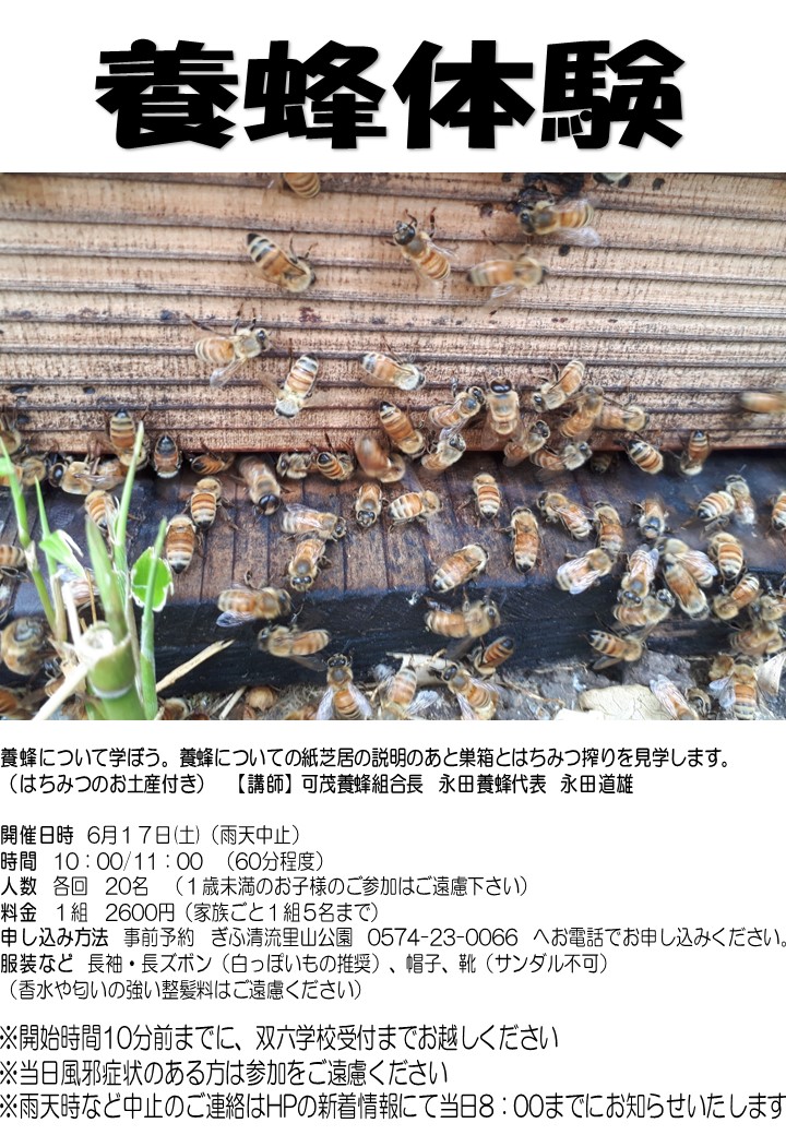 養蜂体験 チラシ