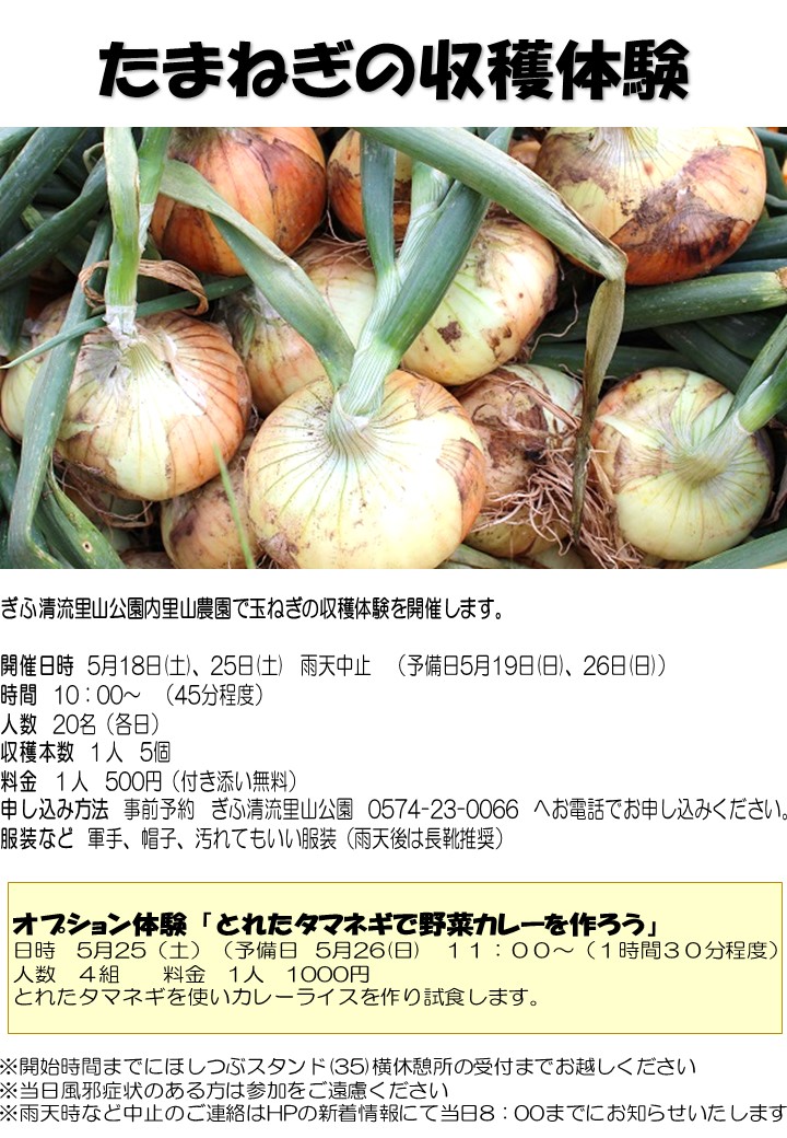 たまねぎの収穫体験 チラシ