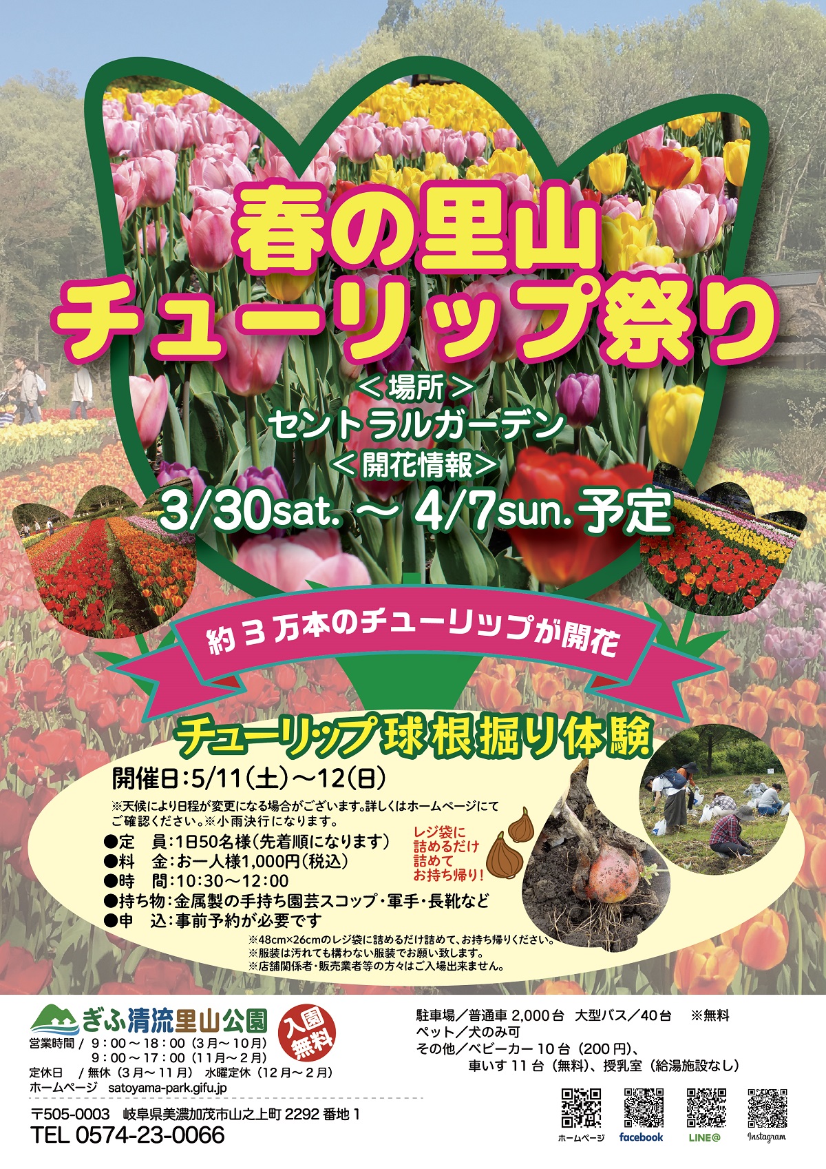 春の里山チューリップ祭り チラシ