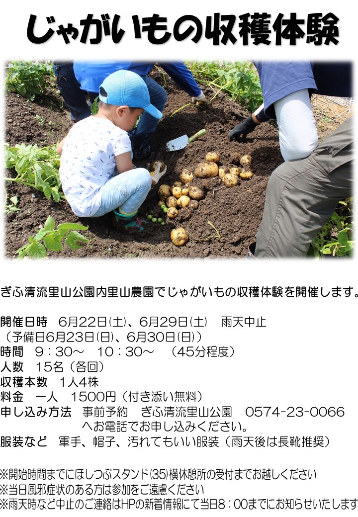 じゃがいもの収穫体験 チラシ